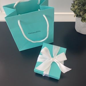 Tiffany & Co. Sterling Silver Somerset Mesh Band R